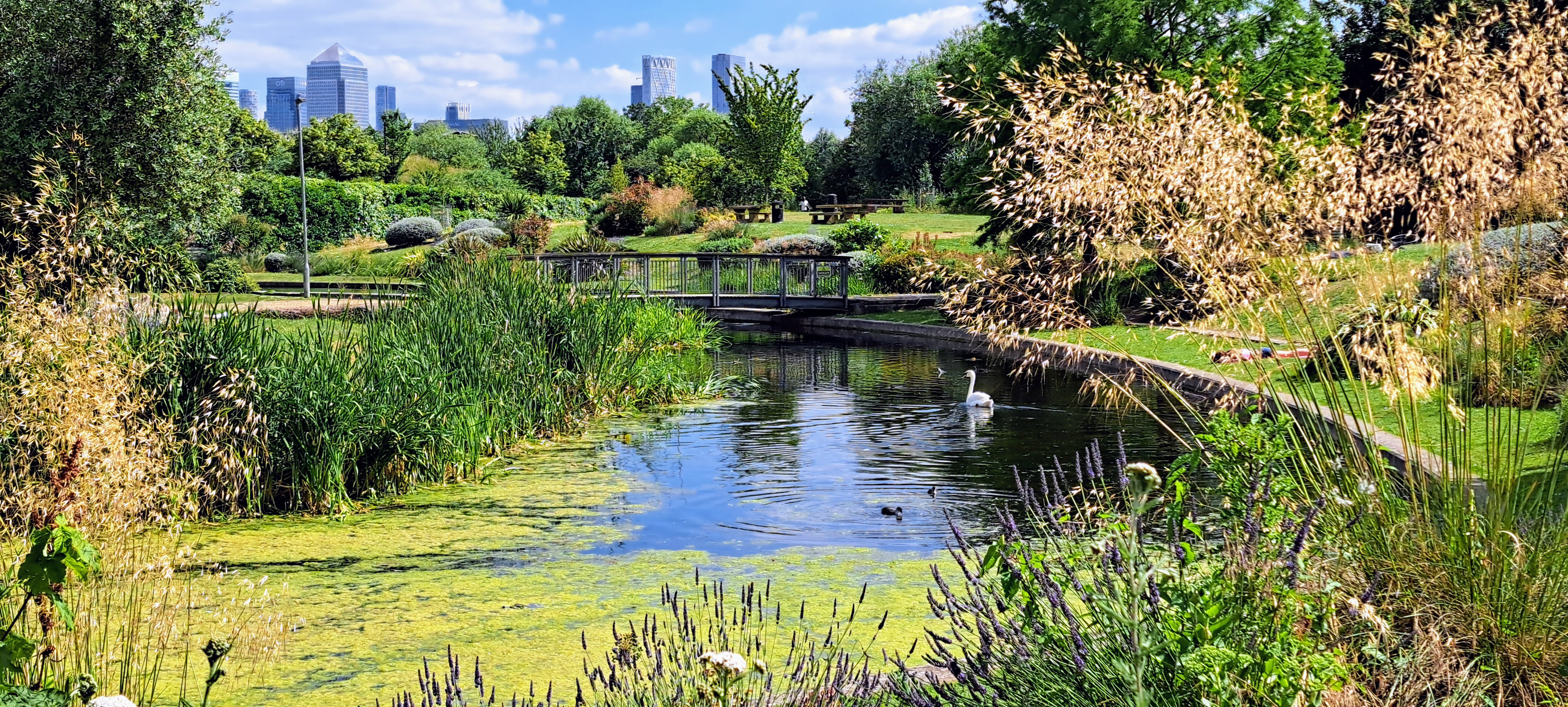 Tower Hamlets Art Pavilion Pond in Mile End Park