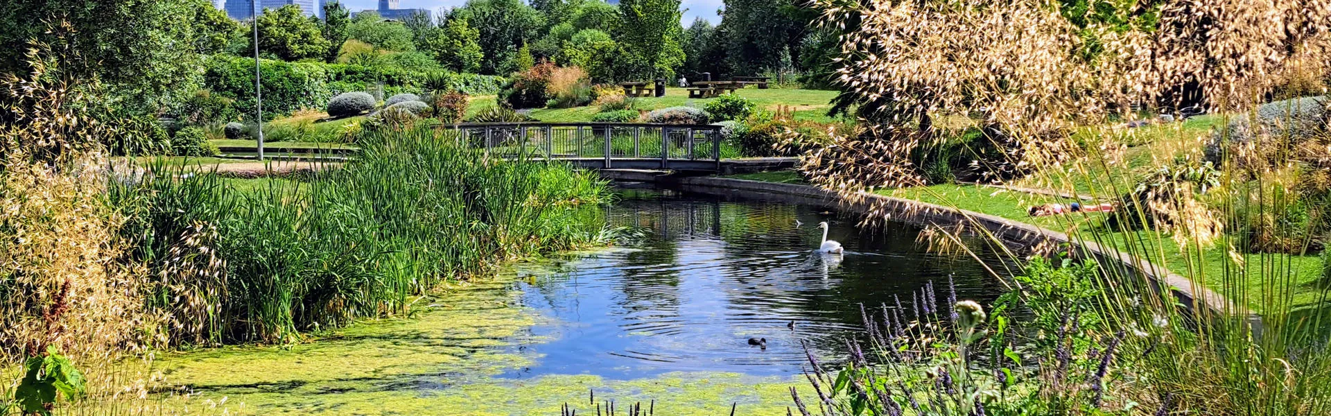 Tower Hamlets Art Pavilion Pond in Mile End Park