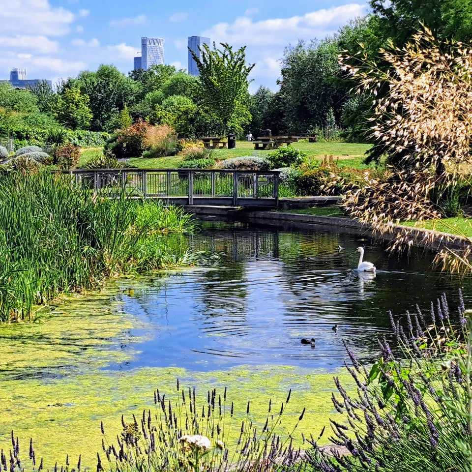 Tower Hamlets Art Pavilion Pond in Mile End Park